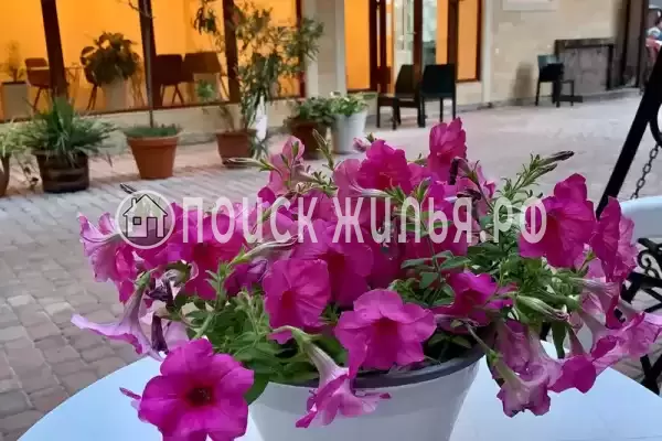 «Адель», Судак