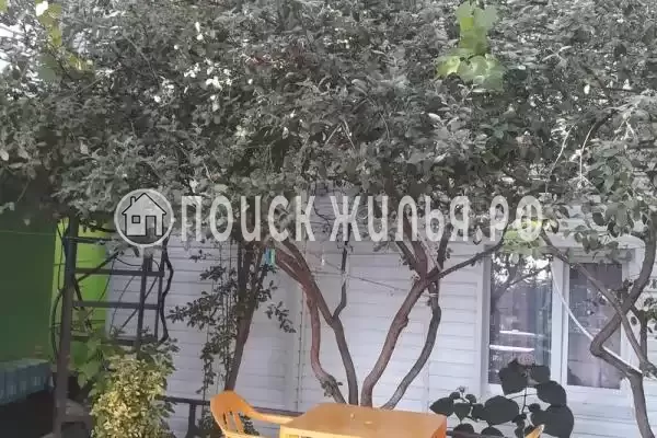 Частный сектор «У Натальи», Лазаревское Частный сектор «У Натальи», Лазаревское