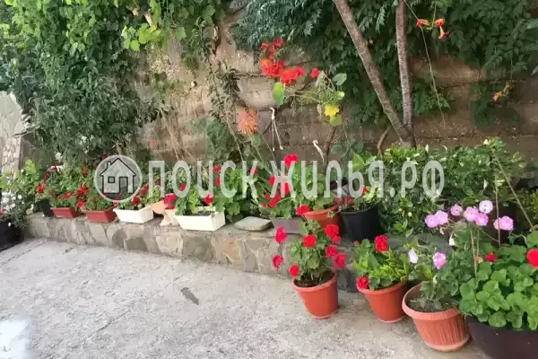 «Караван», Лермонтово