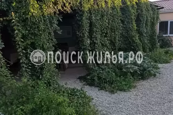 «У Алима», Судак «У Алима», Судак