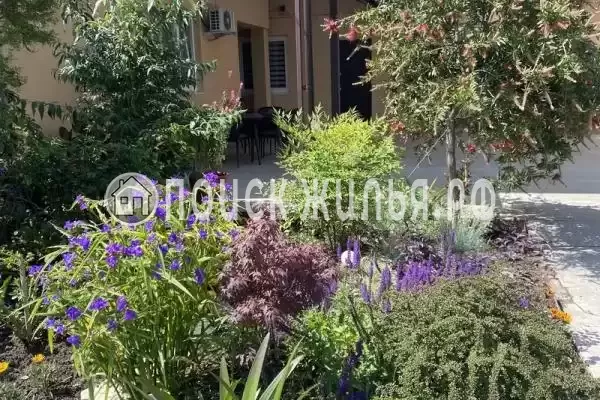 Частный сектор «Арина», Адлер Частный сектор «Арина», Адлер