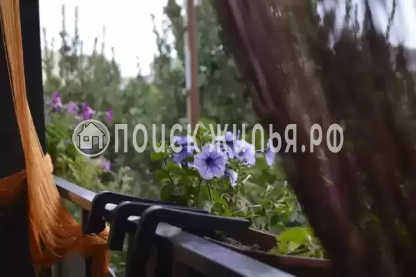 «На Школьной», Алушта