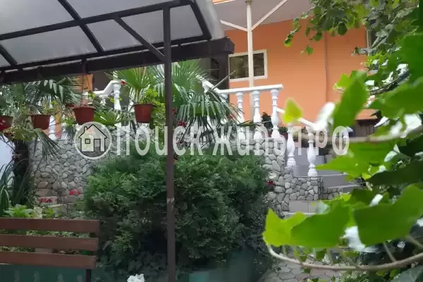 «Афина», Туапсе