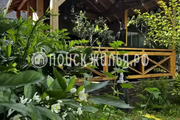 «Парис», Волконка