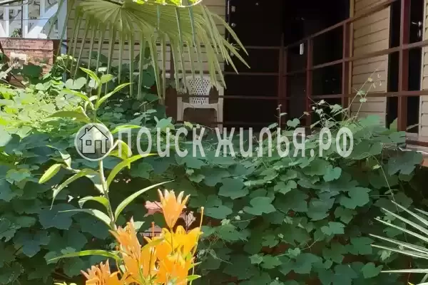 «Виноградный дворик», Краснодарский край, Сочи, Комсомольская, д.3