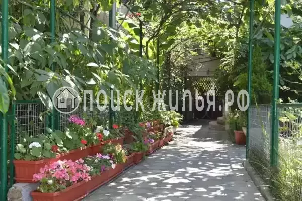 «Азалия», Адлер