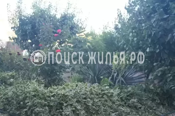 «Крымские каникулы», Судак