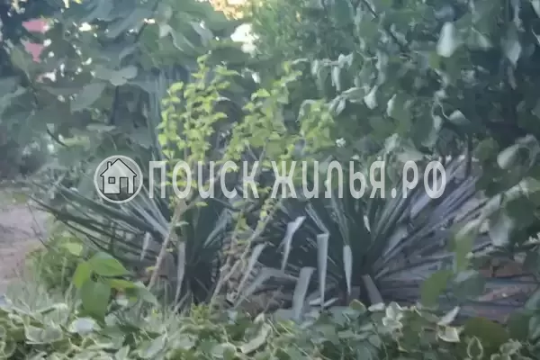 «Крымские каникулы», Судак