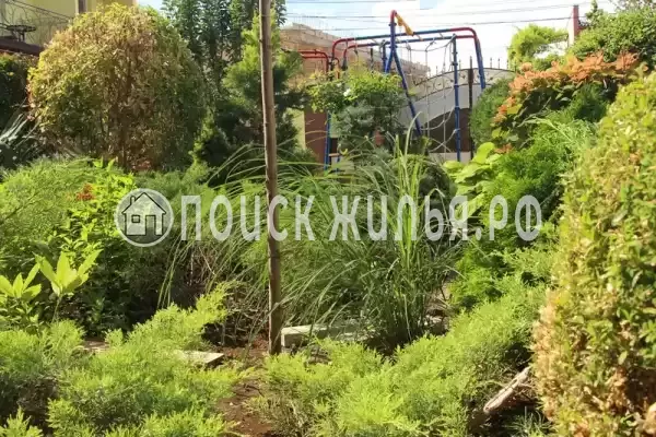 Гостевой дом «Орхидея», Новофедоровка