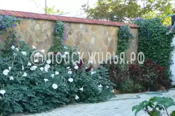 «Виноградная лоза», Евпатория