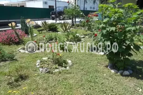 Частный сектор «У Анжелы», Пицунда