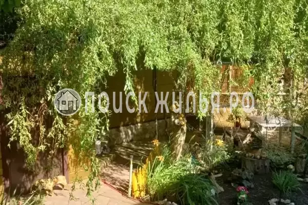 «Домашний рай», Бетта