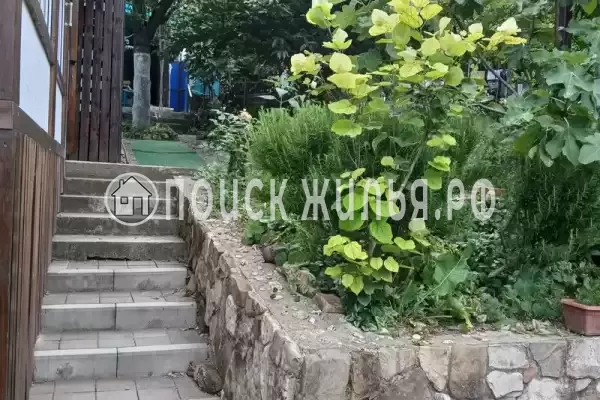 «Школьная 4», Бетта