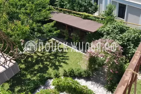 «Пчелка Майя», Севастополь