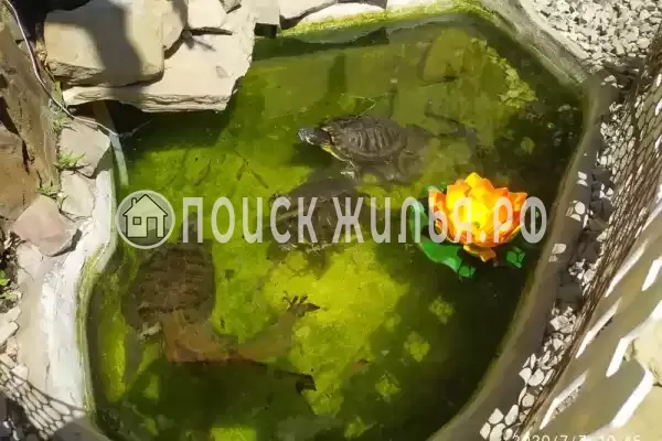 Частный сектор «Лимани», Дивноморское