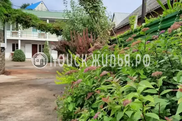 «Киви», Лермонтово