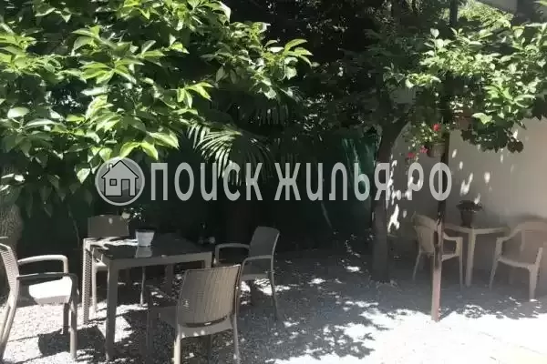 «Адениум», Лазаревское