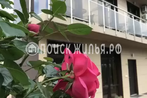 Частный сектор «Шоколад», Архипо-Осиповка Частный сектор «Шоколад», Архипо-Осиповка