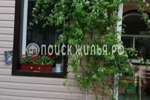 Частный сектор «София», Ольгинка Частный сектор «София», Ольгинка