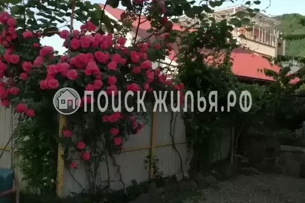 Частный сектор «София», Ольгинка