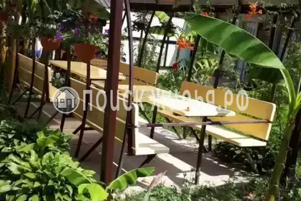 «Светлана», Солоники «Светлана», Солоники