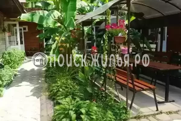 «Светлана», Солоники «Светлана», Солоники