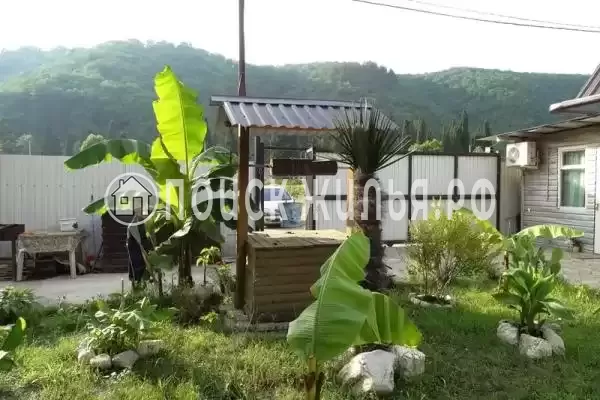 «Светлана», Солоники «Светлана», Солоники