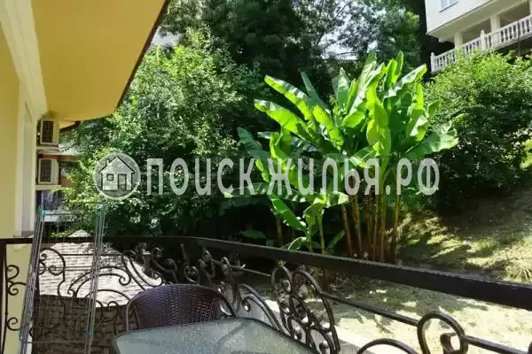 «Amore mio», Сочи