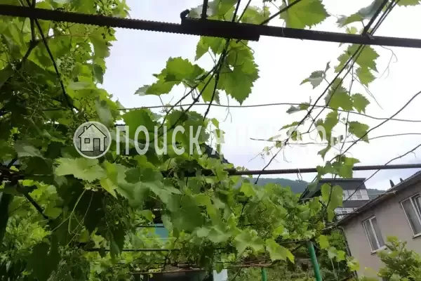 Частный сектор «У Анаиды», Гагра Частный сектор «У Анаиды», Гагра