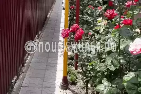 «На Курганной», Витязево