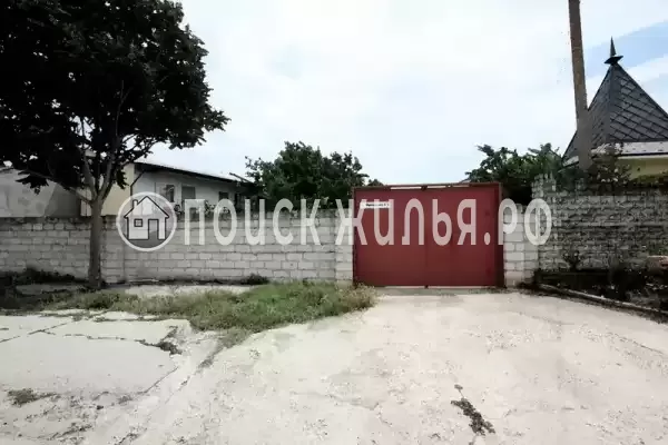 «Медуза», Феодосия