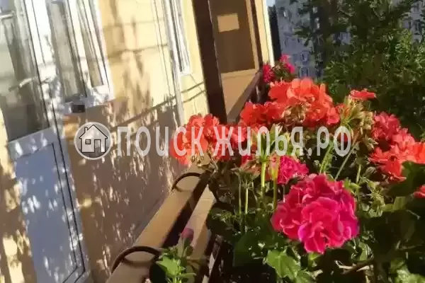 «Greenwood», Адлер