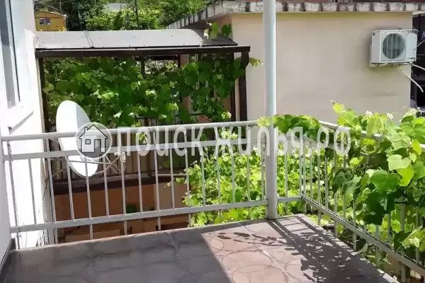 Гостевой дом «Лоза», Гагра