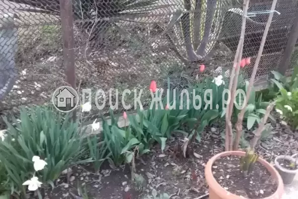 Гостевой дом «У Риты», Пицунда Гостевой дом «У Риты», Пицунда