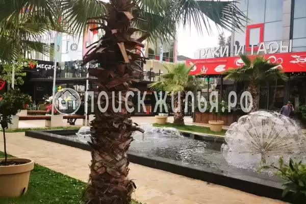 Частный сектор «Аэлита», Адлер