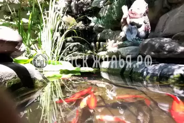 «Аше», Лазаревское «Аше», Лазаревское