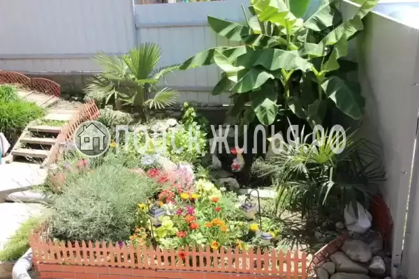 «У Елены», Лазаревское