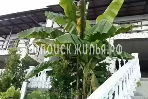 Гостевой дом «Киви», Лдзаа