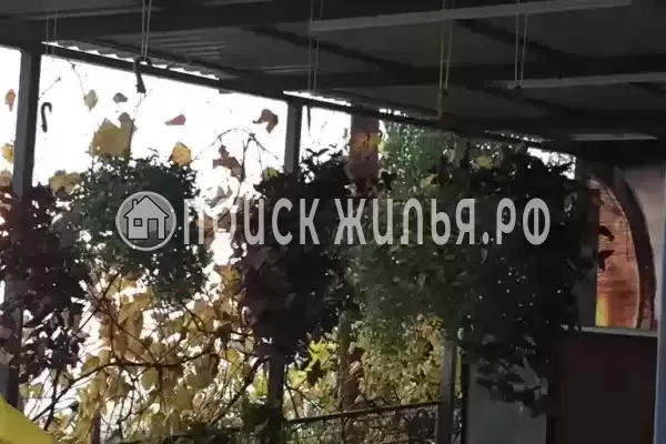 «Аракс», Лазаревское «Аракс», Лазаревское