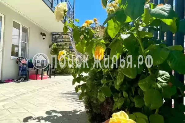 «Киви», Голубицкая «Киви», Голубицкая