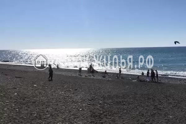 «Виктория», Лоо