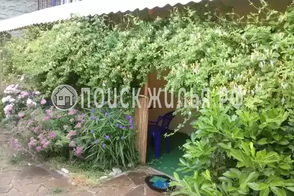 «Орловка», Орловка «Орловка», Орловка