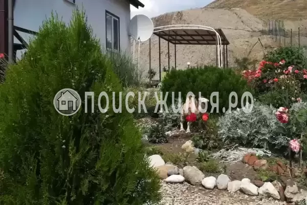 «Camel», Коктебель «Camel», Коктебель