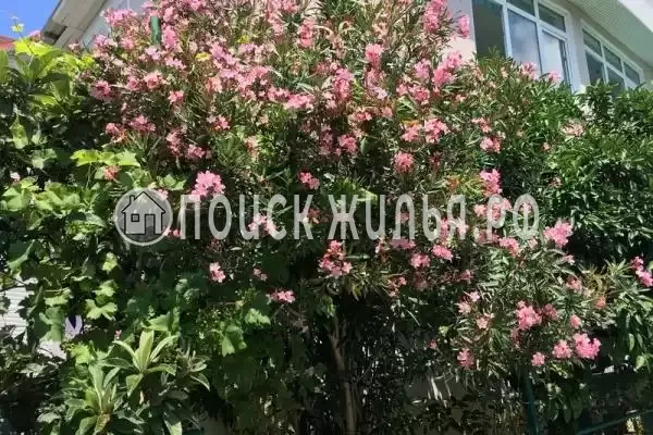 «Аквамарин», Лоо «Аквамарин», Лоо