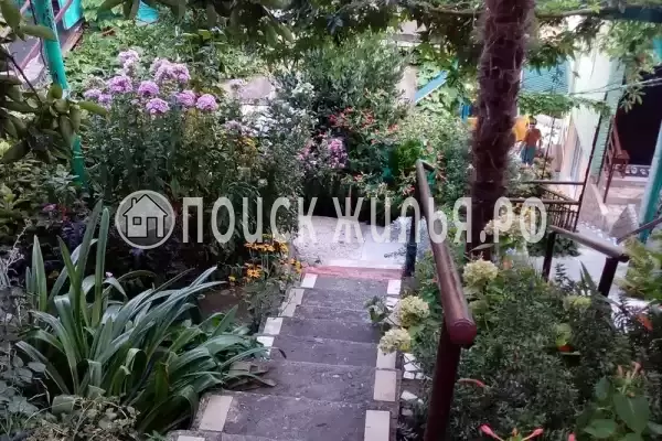 «Агава», Лазаревское