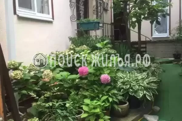 «Итальянский дворик», Бетта «Итальянский дворик», Бетта