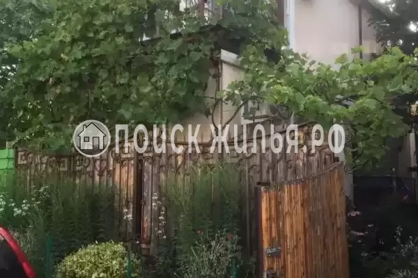 «Итальянский дворик», Бетта «Итальянский дворик», Бетта