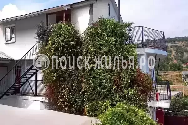 «Роза пикуба», Солнечногорское