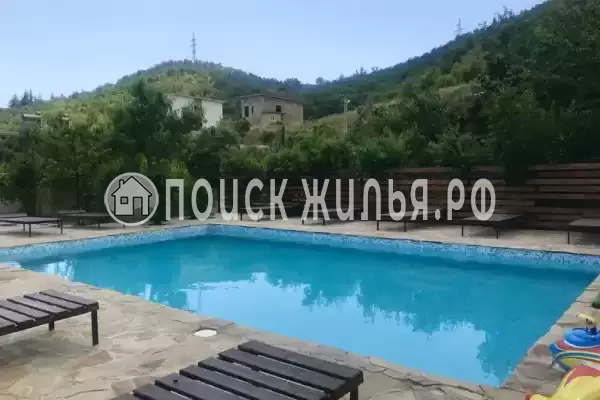 «Роза пикуба», Солнечногорское