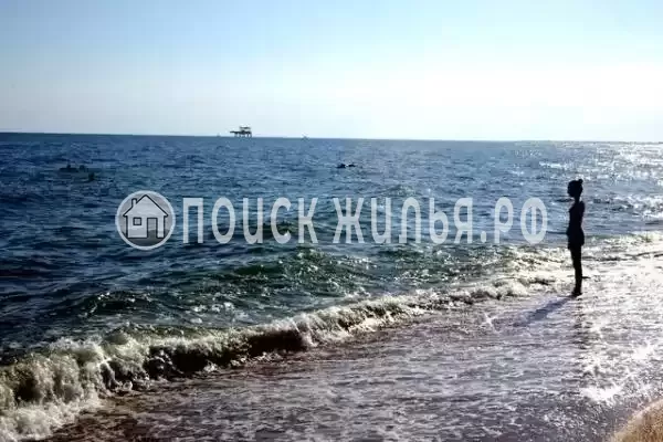 «ТаняСаша», Голубицкая «ТаняСаша», Голубицкая